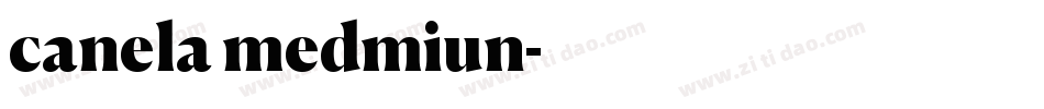 canela medmiun字体转换